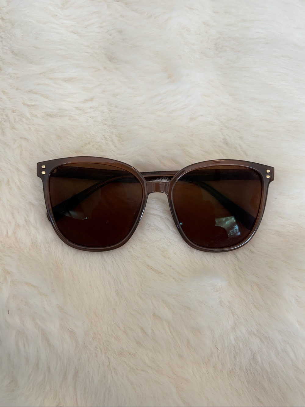 Brown Cat-Eye Sunglasses with Gold Accents